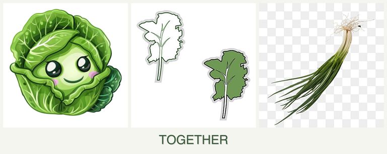 Can you plant cabbage, kale and chives together?