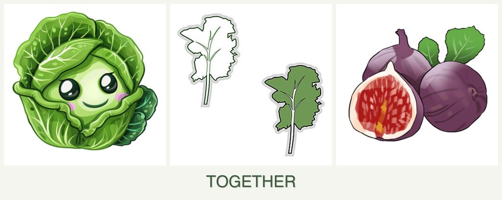 Can you plant cabbage, kale and figs together?