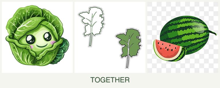 Can you plant cabbage, kale and melons together?
