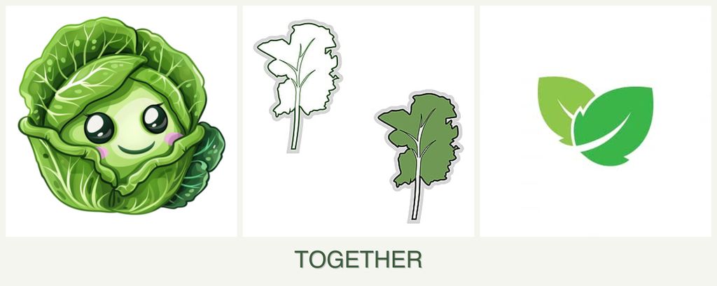 Can you plant cabbage, kale and mint together?