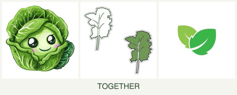 Can you plant cabbage, kale and mint together?