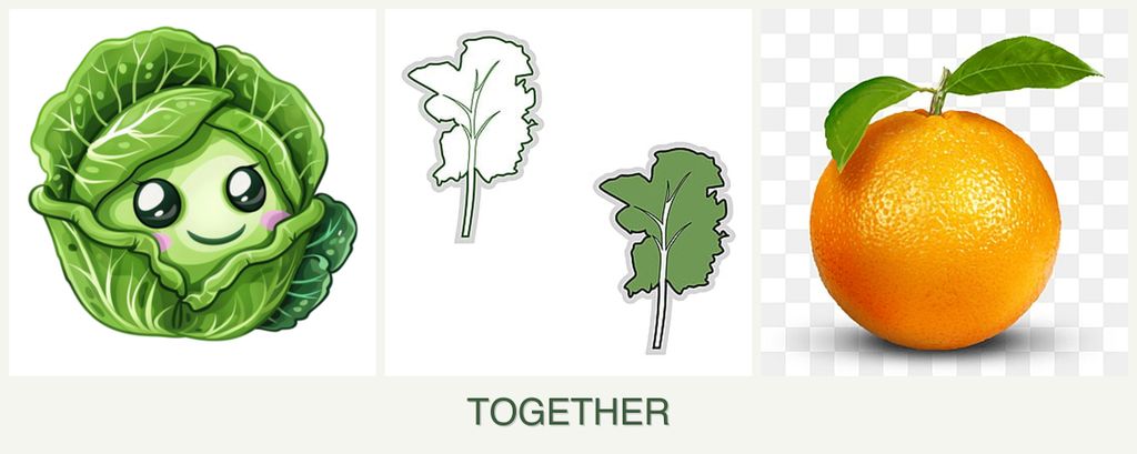 Can you plant cabbage, kale and oranges together?