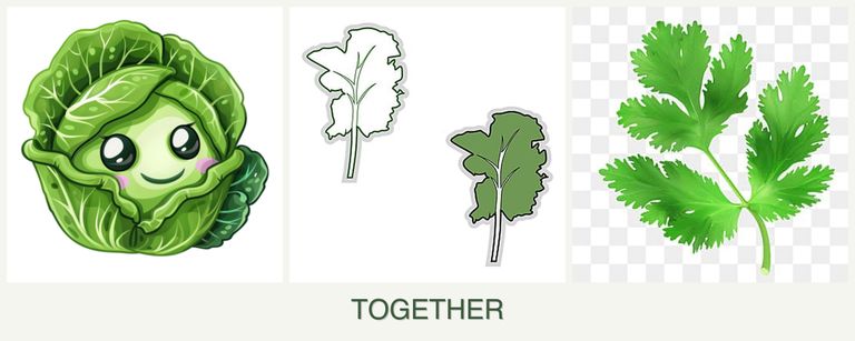 Can you plant cabbage, kale and parsley together?