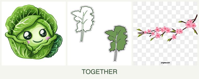 Can you plant cabbage, kale and peaches together?