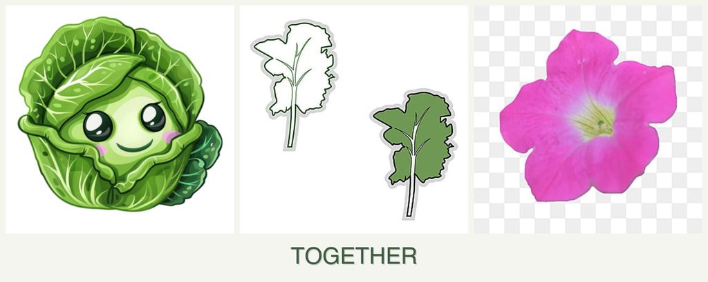 Can you plant cabbage, kale and petunias together?