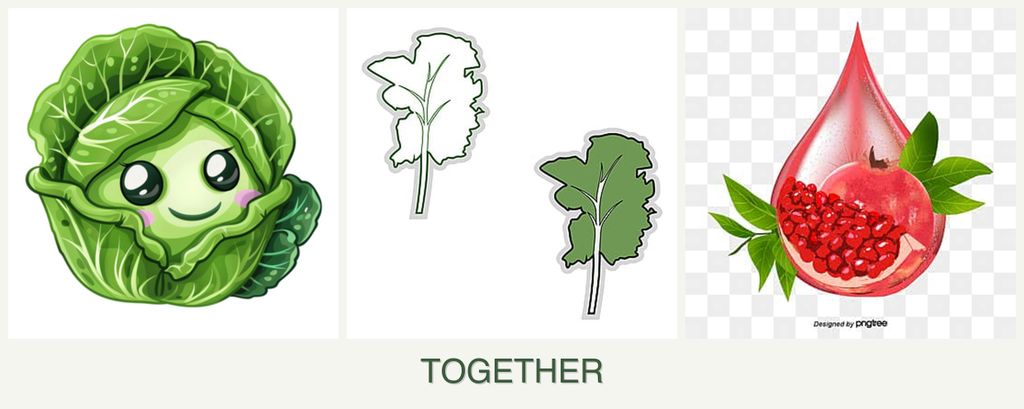 Can you plant cabbage, kale and pomegranates together?