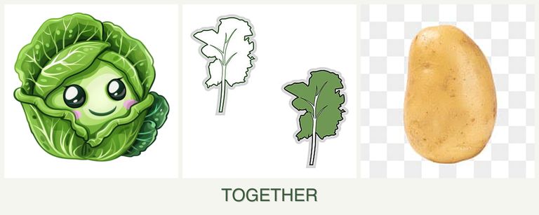 Can you plant cabbage, kale and potatoes together?