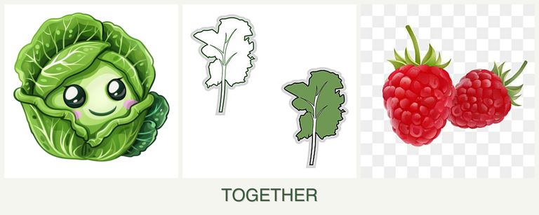 Can you plant cabbage, kale and raspberries together?