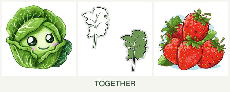 Can you plant cabbage, kale and strawberries together?