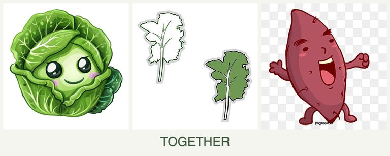 Can you plant cabbage, kale and sweet potatoes together?