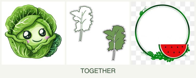 Can you plant cabbage, kale and watermelons together?