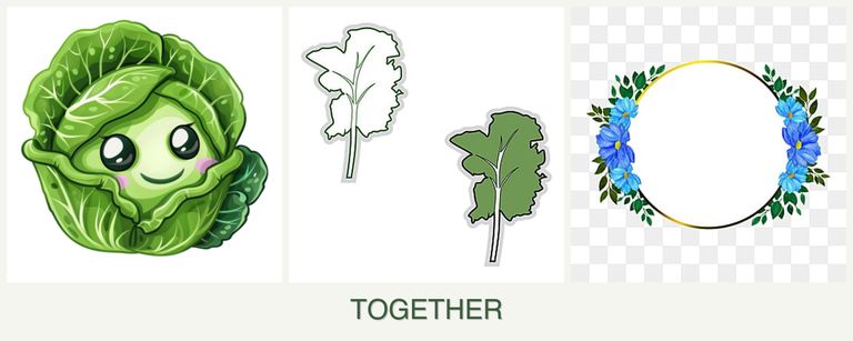 Can you plant cabbage, kale and zinnias together?