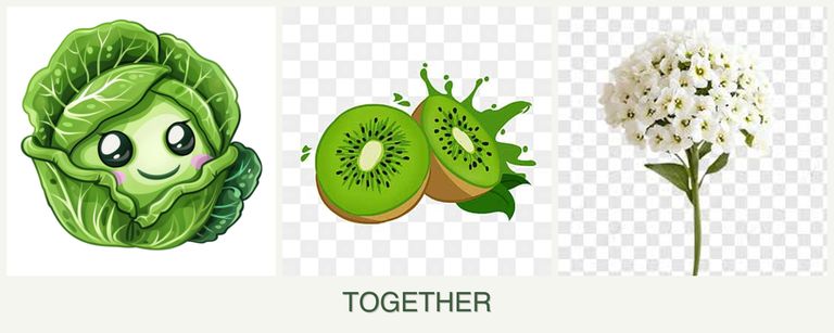 Can you plant cabbage, kiwi and alyssum together?