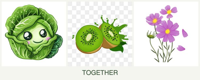 Can you plant cabbage, kiwi and cosmos together?