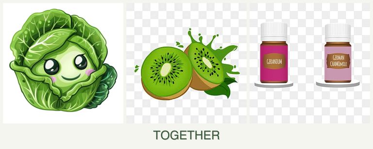 Can you plant cabbage, kiwi and geraniums together?