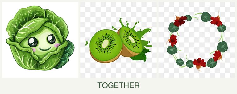 Can you plant cabbage, kiwi and nasturtiums together?