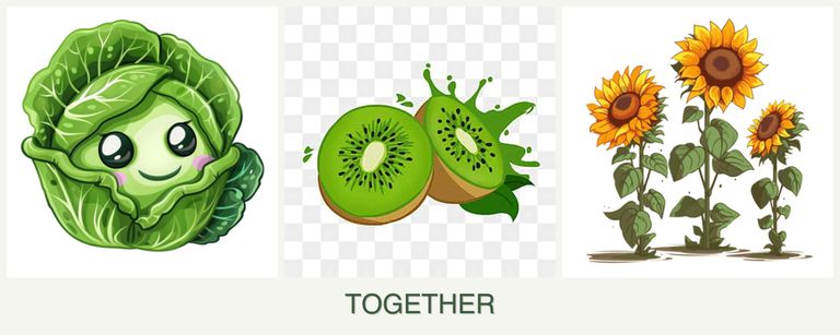 Can you plant cabbage, kiwi and sunflowers together?