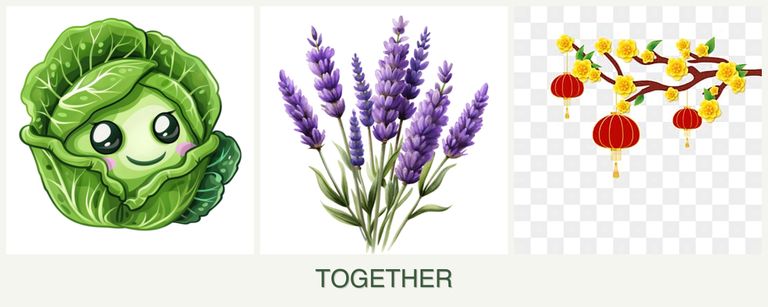Can you plant cabbage, lavender and apricots together?