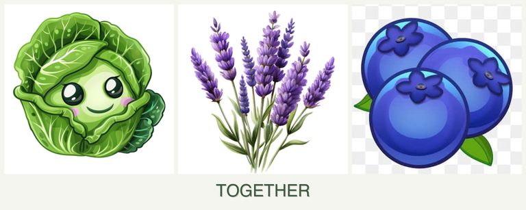 Can you plant cabbage, lavender and blueberries together?