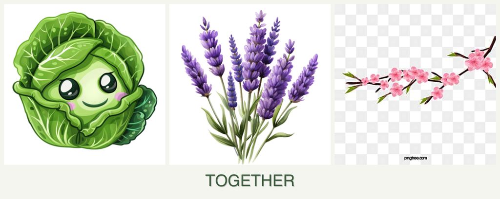 Can you plant cabbage, lavender and peaches together?