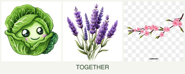 Can you plant cabbage, lavender and peaches together?