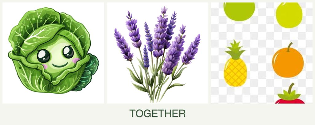 Can you plant cabbage, lavender and pears together?