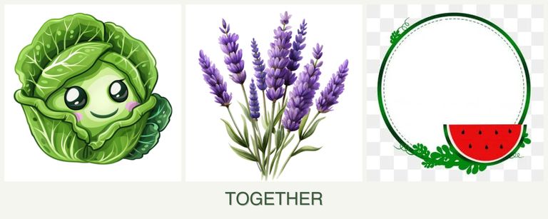 Can you plant cabbage, lavender and watermelons together?
