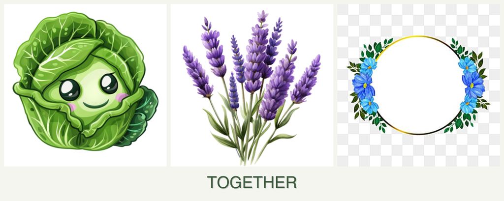 Can you plant cabbage, lavender and zinnias together?