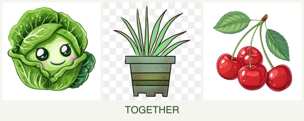 Can you plant cabbage, lemongrass and cherries together?