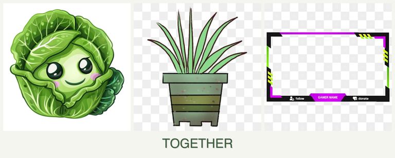 Can you plant cabbage, lemongrass and limes together?