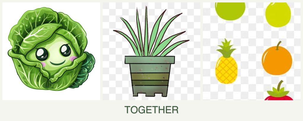 Can you plant cabbage, lemongrass and pears together?