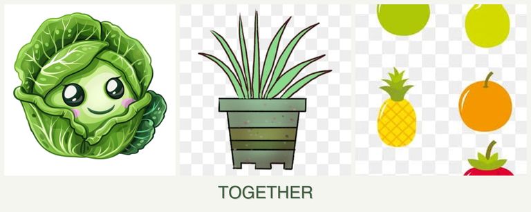Can you plant cabbage, lemongrass and pears together?