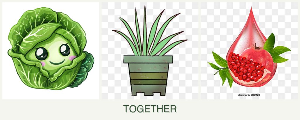 Can you plant cabbage, lemongrass and pomegranates together?