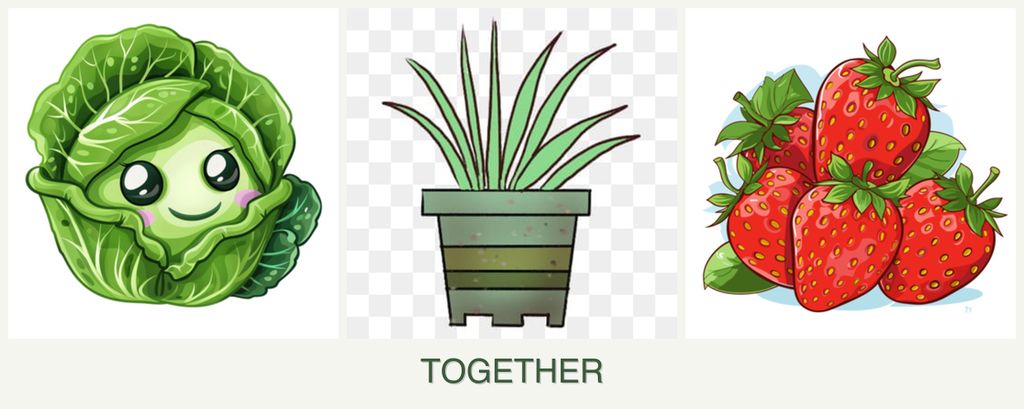 Can you plant cabbage, lemongrass and strawberries together?