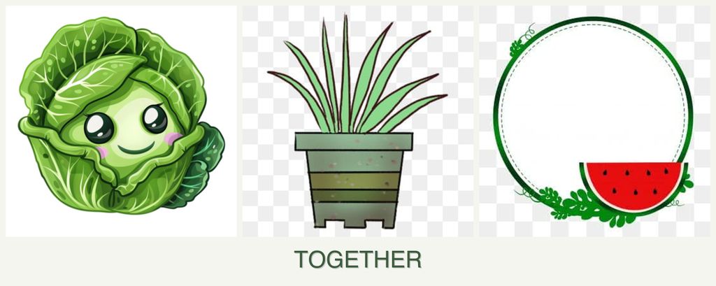 Can you plant cabbage, lemongrass and watermelons together?