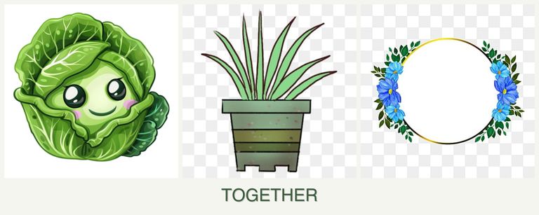 Can you plant cabbage, lemongrass and zinnias together?