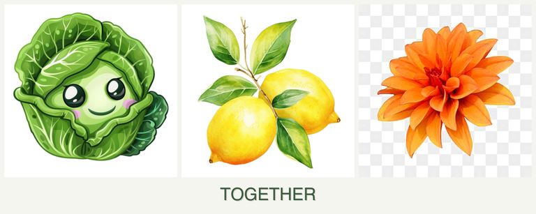 Can you plant cabbage, lemons and dahlias together?