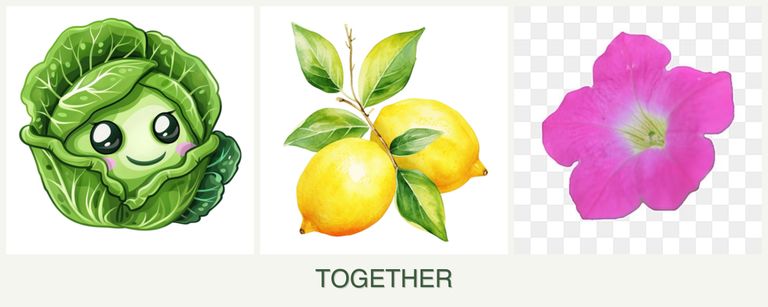 Can you plant cabbage, lemons and petunias together?