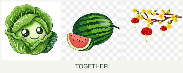 Can you plant cabbage, melons and apricots together?