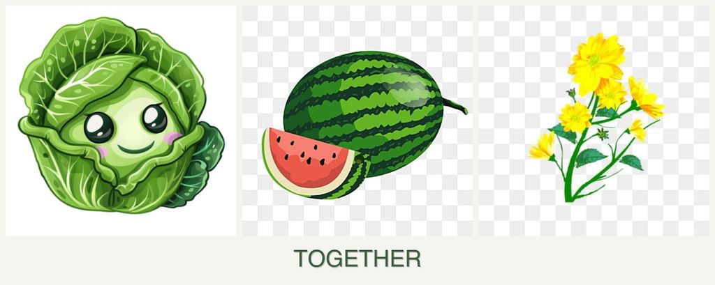 Can you plant cabbage, melons and calendula together?