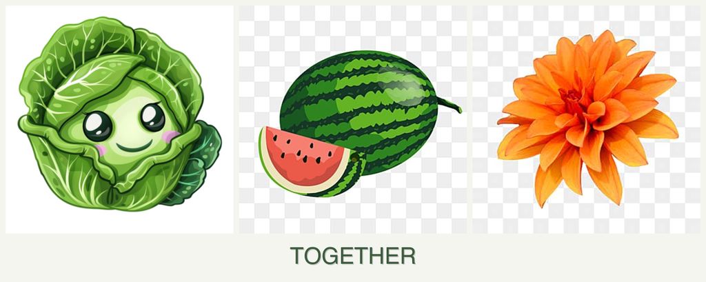 Can you plant cabbage, melons and dahlias together?