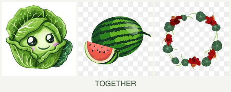 Can you plant cabbage, melons and nasturtiums together?
