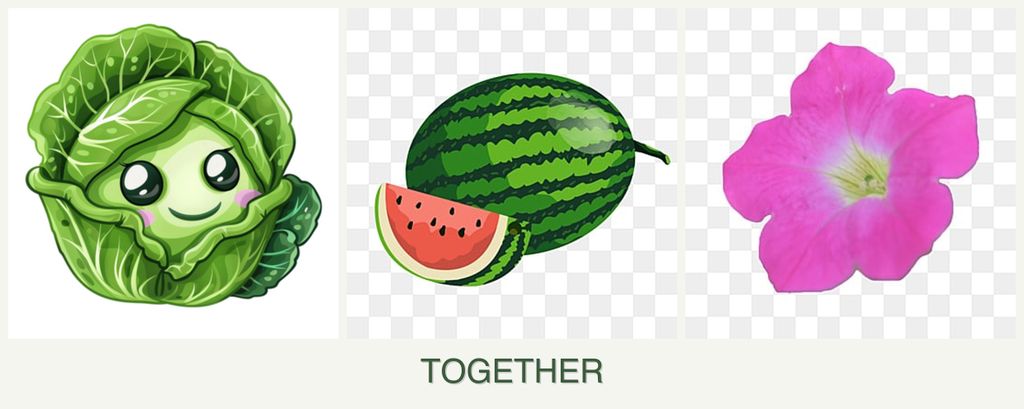 Can you plant cabbage, melons and petunias together?