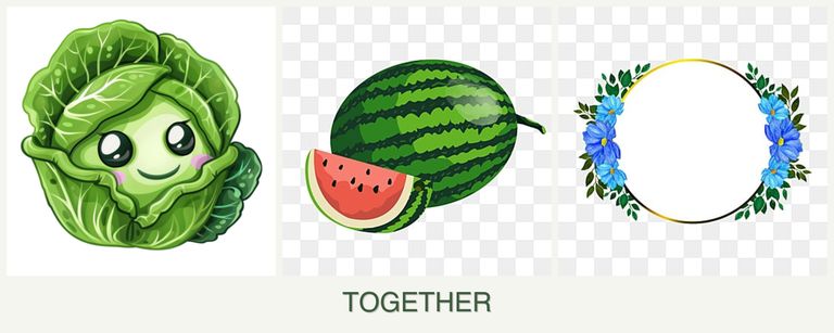 Can you plant cabbage, melons and zinnias together?