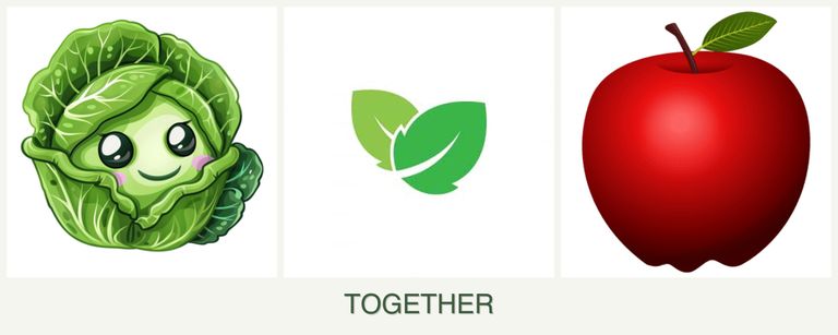 Can you plant cabbage, mint and apples together?
