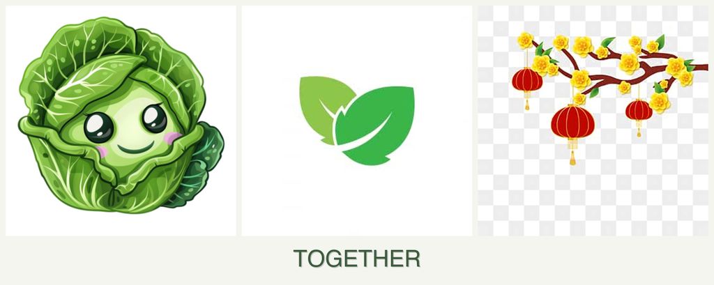 Can you plant cabbage, mint and apricots together?
