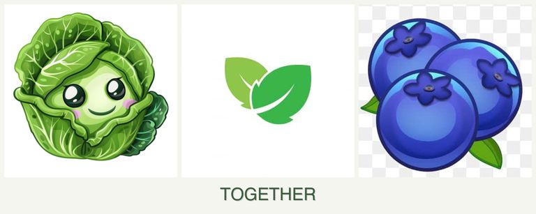 Can you plant cabbage, mint and blueberries together?