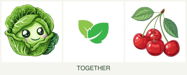 Can you plant cabbage, mint and cherries together?