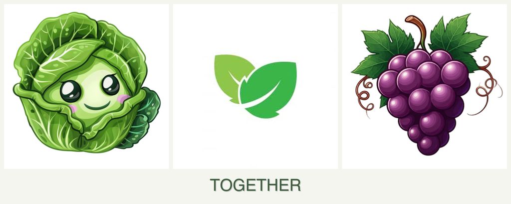 Can you plant cabbage, mint and grapes together?