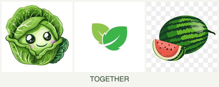 Can you plant cabbage, mint and melons together?